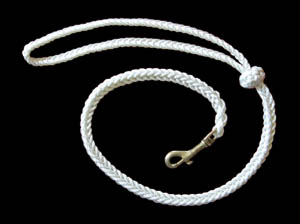 Boat Yard Dog Leash